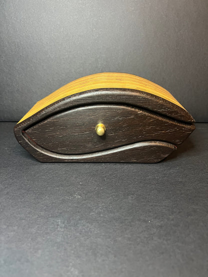 The Minnow Bandsaw Box